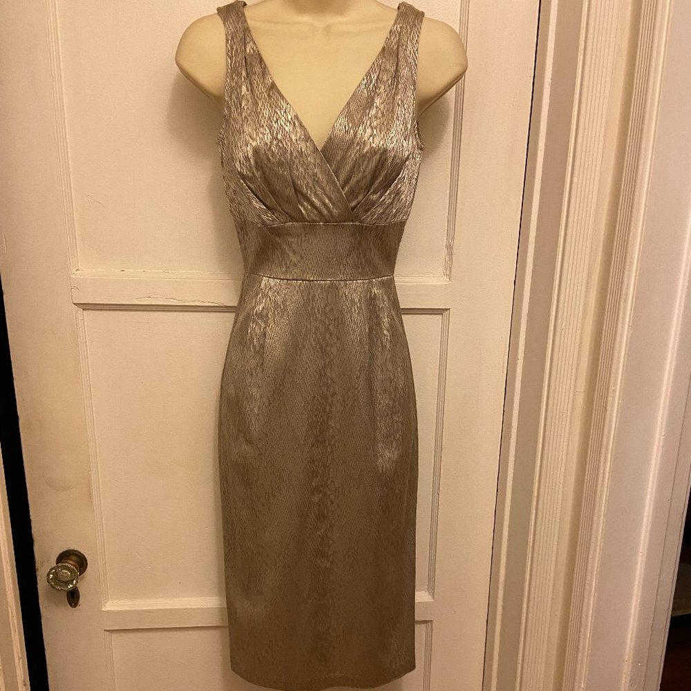 Beautiful Stop Staring! Silver Bombshell Dress, size Small, never worn
